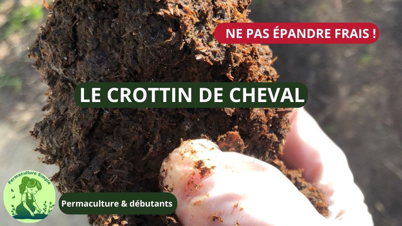 Le crottin de cheval au jardin potager DIY YouTube — free download