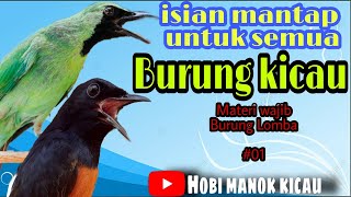 Masteran wajib burung kicau,, Materi paling di cari juri Lomba