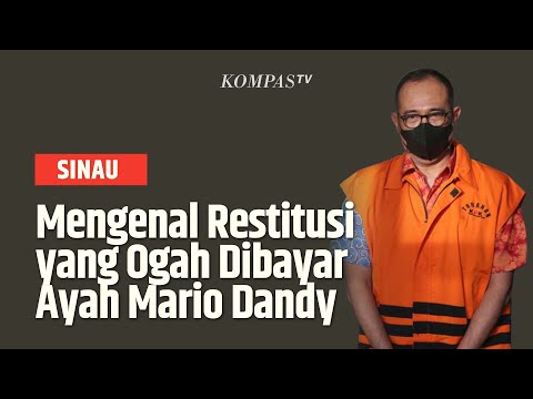 Video: Apa yang dimaksud dengan restitusi?