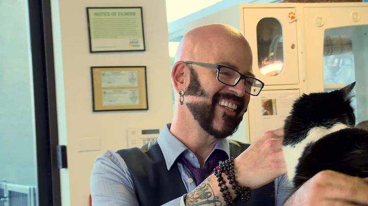 This "My Cat From Hell" Cameraman Couldn't Leave Without Adopting A Kitty Of His Own