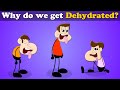 Why do we get Dehydrated?   more videos | #aumsum #kids #science #education #children