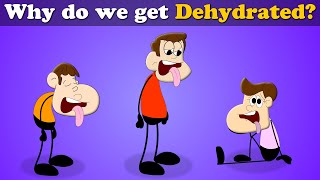 Why do we get Dehydrated? + more videos | #aumsum #kids #science #education #children