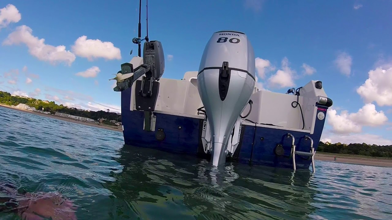 NormandyDog from the water, Orkney Pilothouse 20 mk3