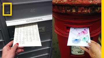 Pen Pal Experiment: Two Women Swap the Data of Their Daily Lives | Short Film Showcase