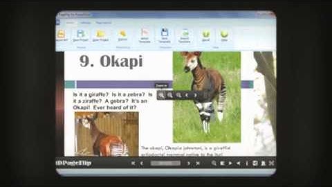 3D PageFlip Professional to convert PDFs into interactive flipbooks and embed rich media in no time