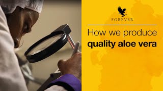 How we produce quality products | Forever Living UK & Ireland