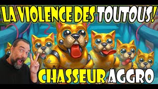 LA VIOLENCE DES TOUTOUS! Deck Chasseur Aggro