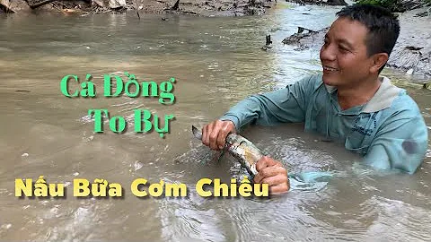 Bt trng c ng to b lm ba cm chiu ngon ht sy | C Lao...