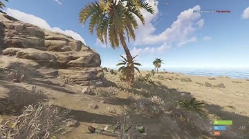 Rust but the video ends if I hear gunshots