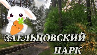 НОВОСИБИРСК ЗАЕЛЬЦОВСКИЙ ПАРК