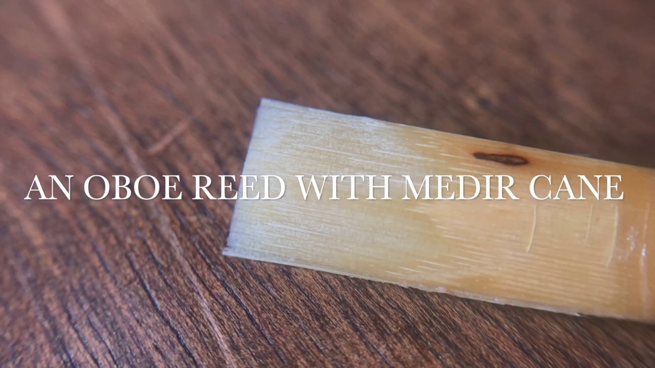 An oboe reed with Medir cane YouTube