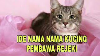 DUNIA HEWAN : NAMA NAMA  KUCING PEMBAWA REJEKI BAGI YANG MEMELIHARANYA