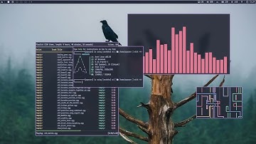 More openbox rice video