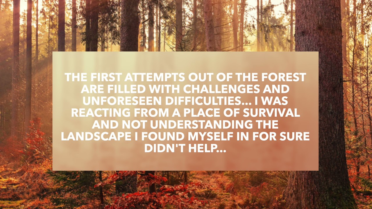 DM TO DF 💌 It's a really dark forest...