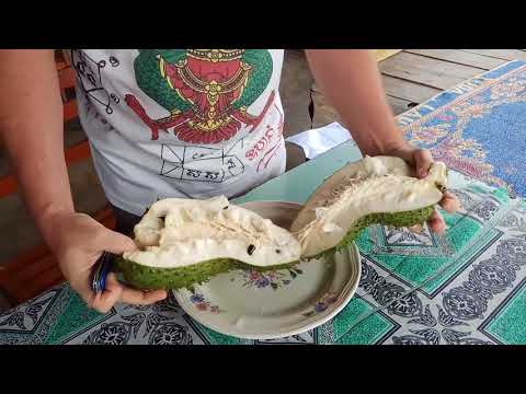 Video: Anona (guanabana) - En Unik Frukt Mot Cancer