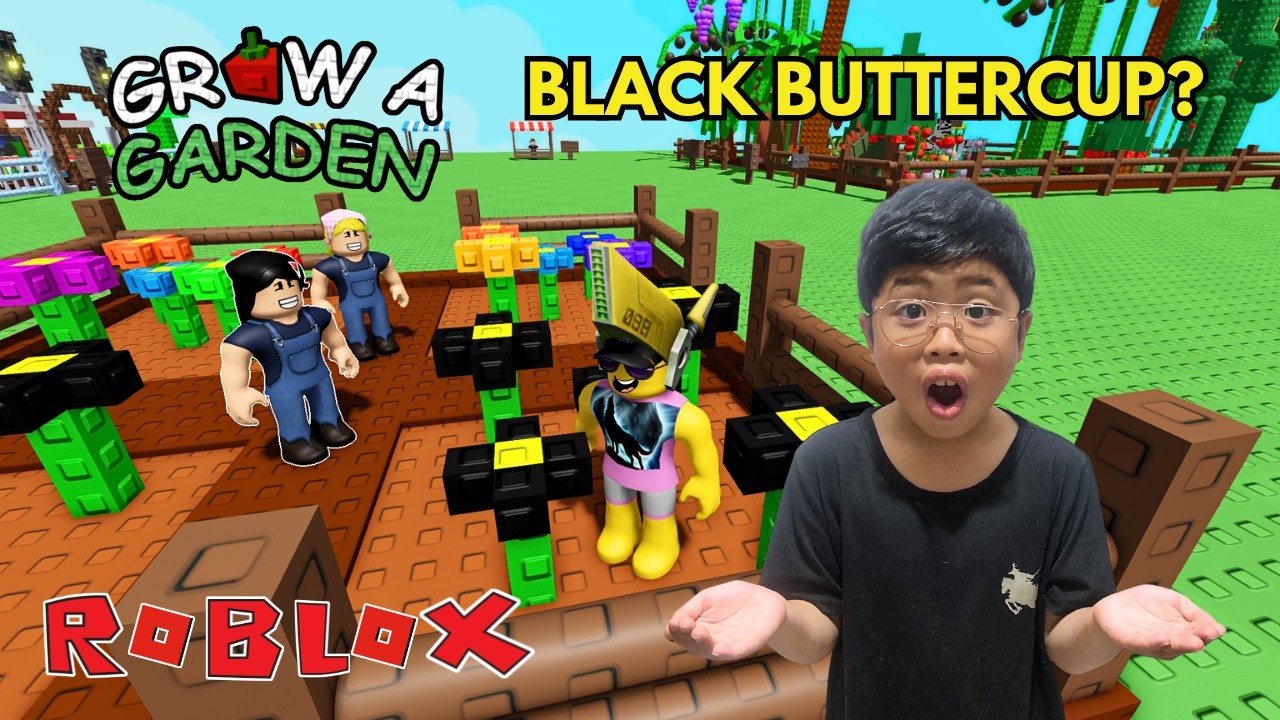 NEW Black Buttercup Quest Update - Grow A Garden Roblox