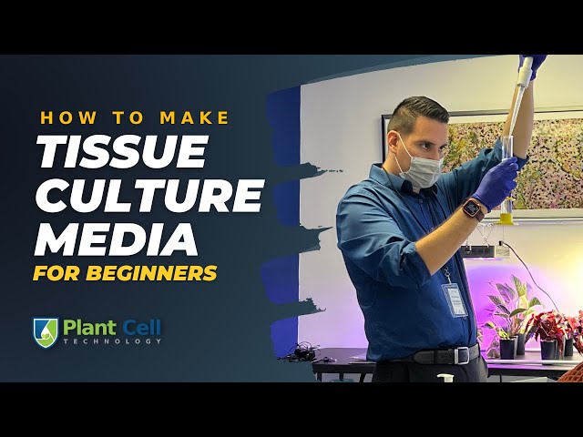 5 Plant Tissue Culture Products You Need to Get Started - Plant