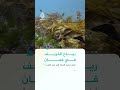 رياح الخريف في عُمان.. كيف تعيد الحياة إلى بحر العرب؟