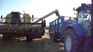 New Holland TX66 Combine Emptying Load - 15/09/2011