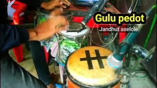 GULU PEDOT KOPLO JANDHUT ASELOLE #video #kendang #koplo 