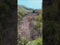Patag nga ‘no! #funnyreels  #fypシ #Adventureros #mountains #nature
