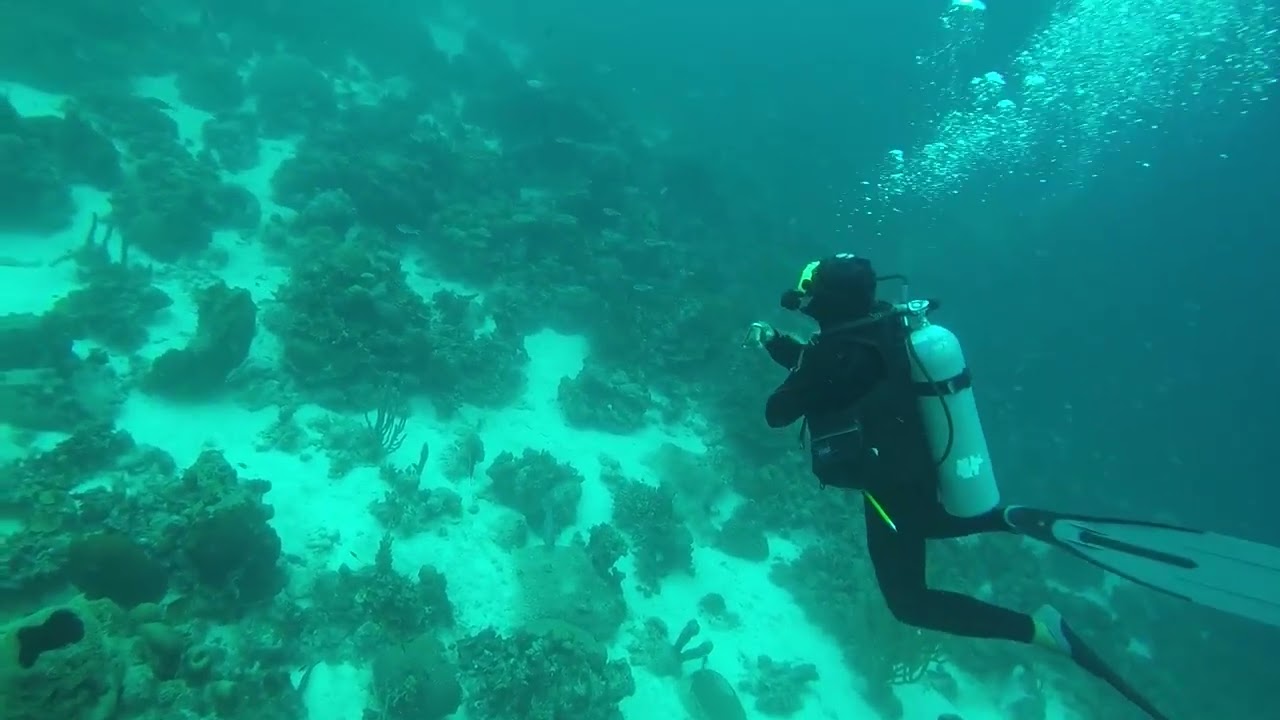 Diving trip #2