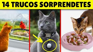 14 TRUCOS sorprendentes de MEJORAR LA VIDA de tu gato by Zona Gatos 2,977 views 9 days ago 9 minutes, 31 seconds