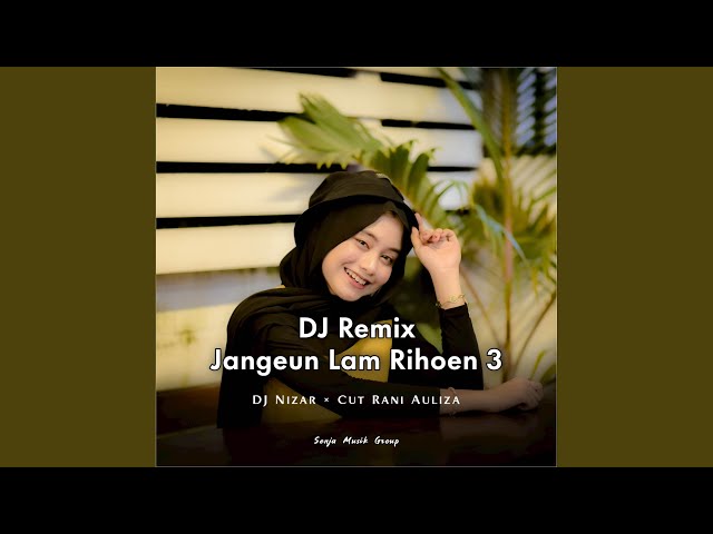 DJ Remix Jangeun Lam Rihoen 3 class=