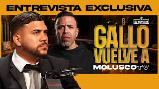 Gallo regresa a Molusco TV luego de Planeta Alofoke / MC Ceja le tira a Robert Fantacuca