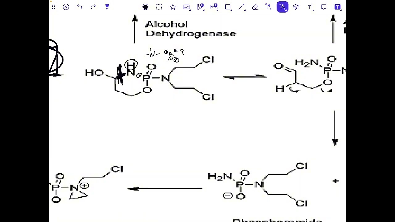 Pharmaceutical chemistry(Cyclophosphamide and Ifosfamide)عضوية وزاري مرحلة رابعة المنهج التقويمي  