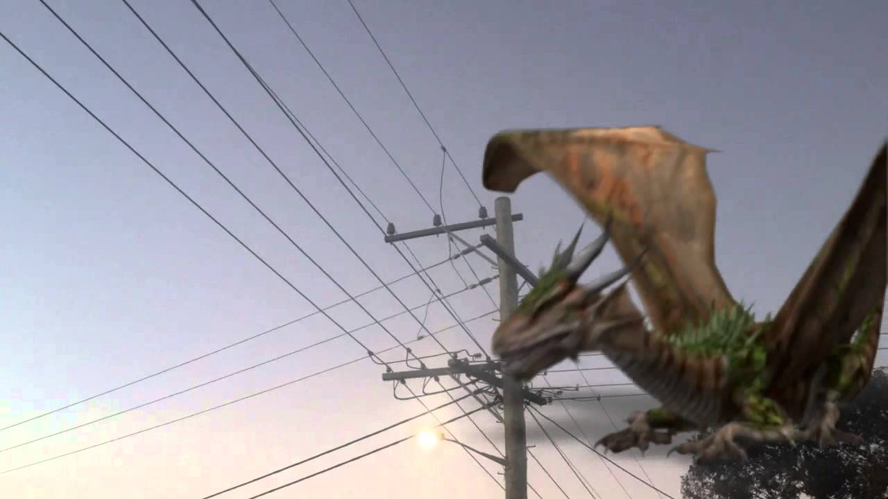 City Implements New Way to Keep Birds Off Power Lines - YouTube How To Keep Birds Off Power Lines