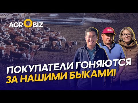 Акбасы по цене