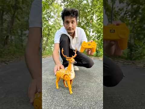 Rc Remote Control