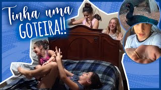 Vlog Da Malucat O Pato Fabrício E A Goteira No Nosso Quarto Clube Da Malucat