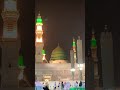فديتك يا رسول الله ﷺ 