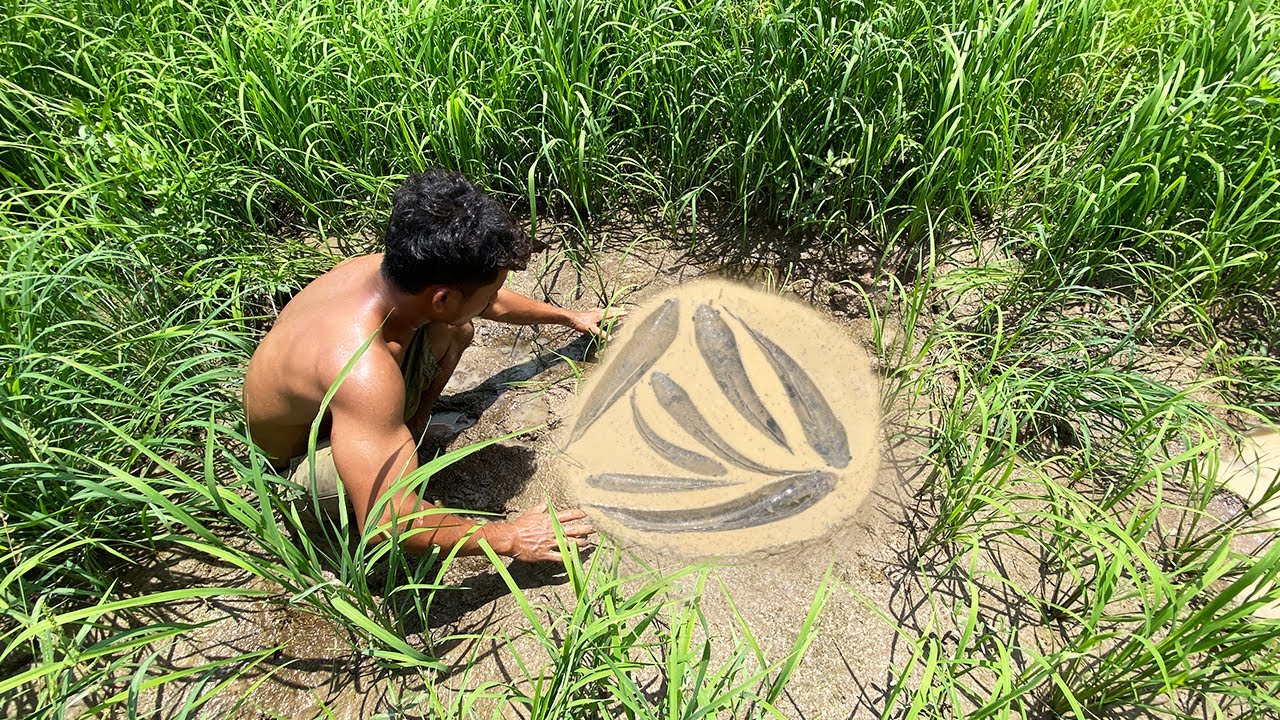 Season Dry on 2023|Catching Snakes Fish Fishing in Mud Underground by Hands| FISH HOME