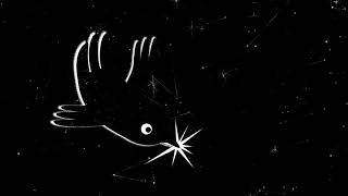 Night Flight (Tania Rex & Meinart Studios)