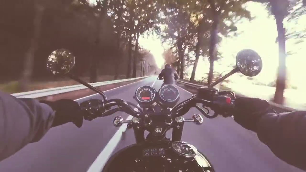 Ride with me.                                              Donatello Trisolino 