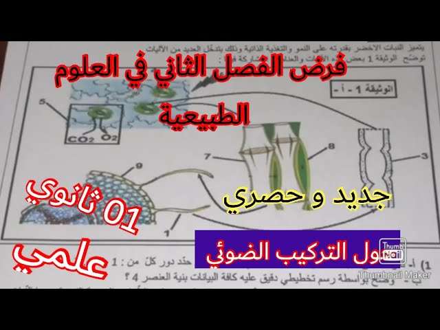 فرض الفصل الثاني في العلوم الطبيعية السنة الأولى ثانوي علمي حول التركيب الضوئي 2023
