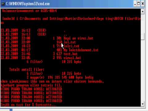 A simple batch file