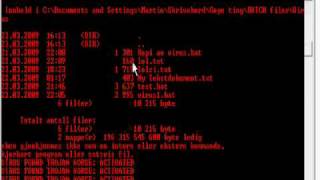 A simple batch file