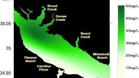 Chlorophyll a concentration movie