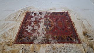 statisfying cleaning rug #asmr #carpetcleaning #relaxing #statisfying
