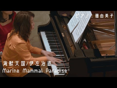 伊左治直 Sunao Isaji：海獣天国　Marine Mammal Paradise　/廻由美子[pf.] Yumiko Meguri