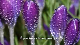 Tocando Em Frente - Maria Bethânia