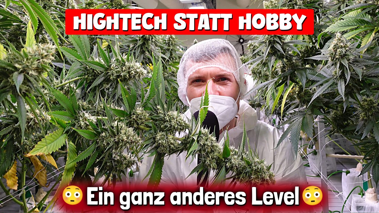 So sieht es WIRKLICH hinter den Türen einer Cannabis Plantage aus! Besuch in Mazedonien mit CannaZen