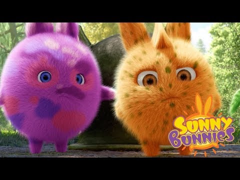 videos-for-kids---sunny-bunnie