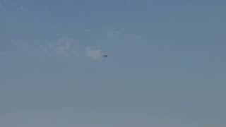 Birds Chirp Aeroplane Flight 8k
