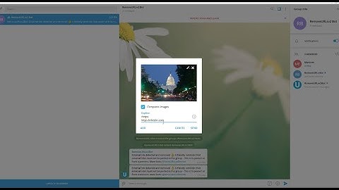 How to set auto remove link in Telegram group Update v2