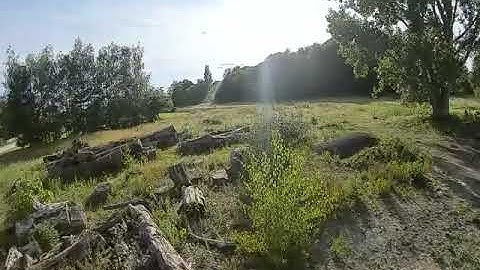 Bug in DJI fpv firmware?